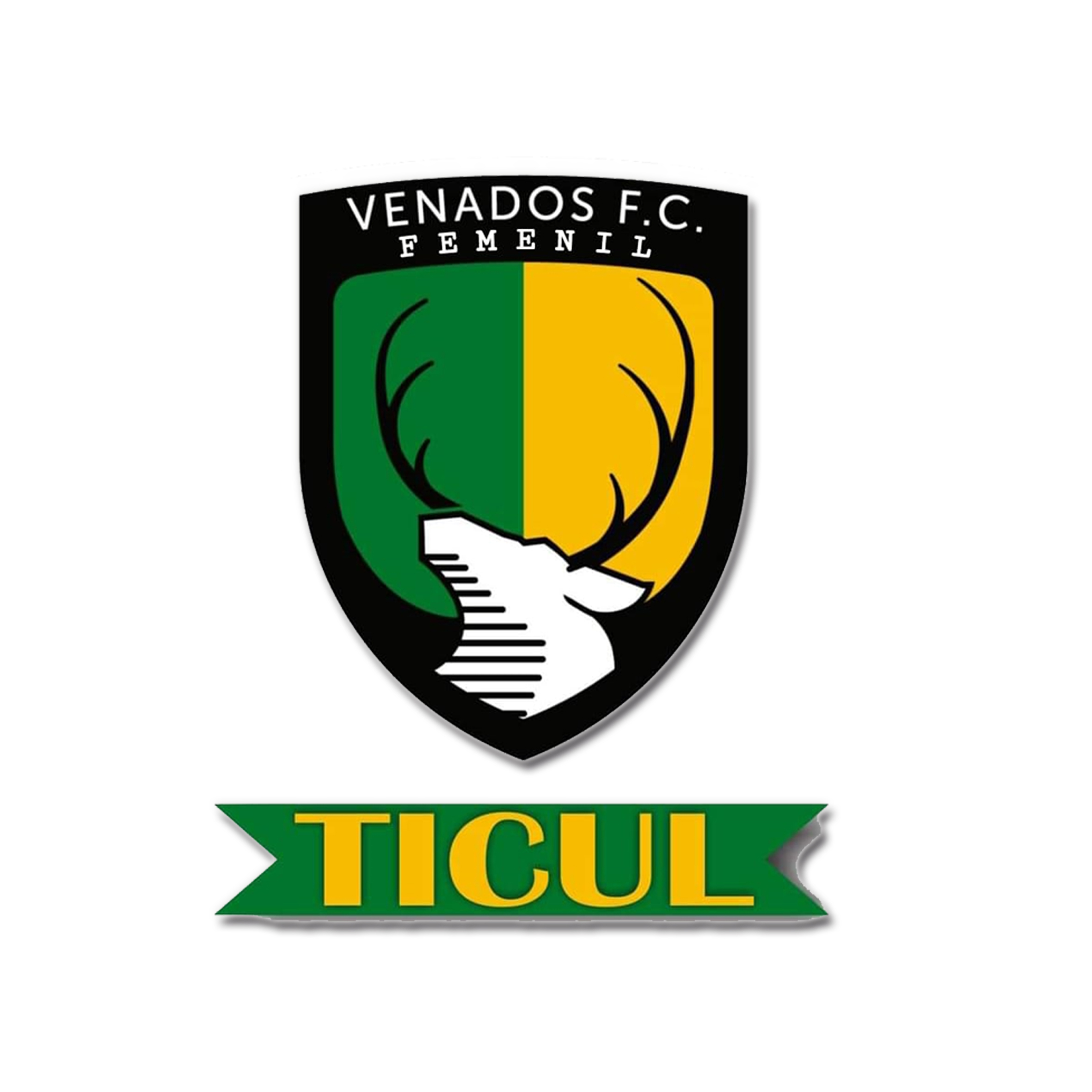 Venados FC Ticul