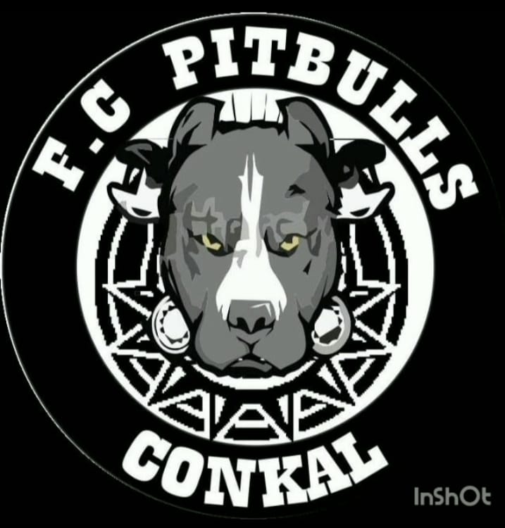 Pitbull de Conkal