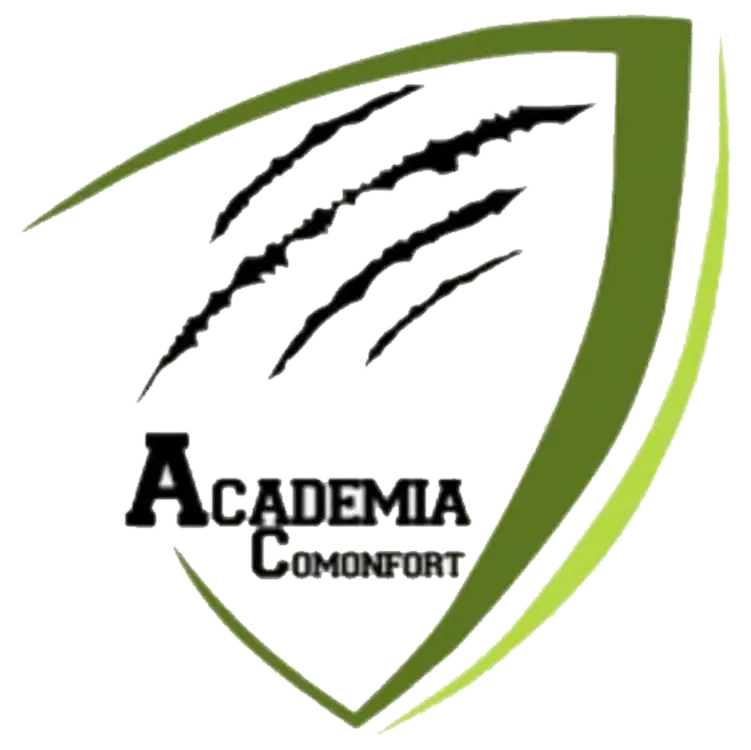 Academia Comonfort FC