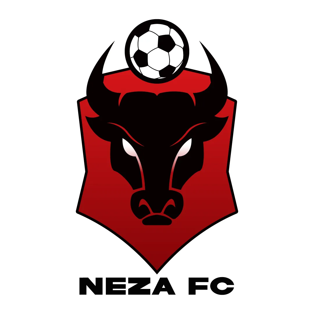 Toros Neza