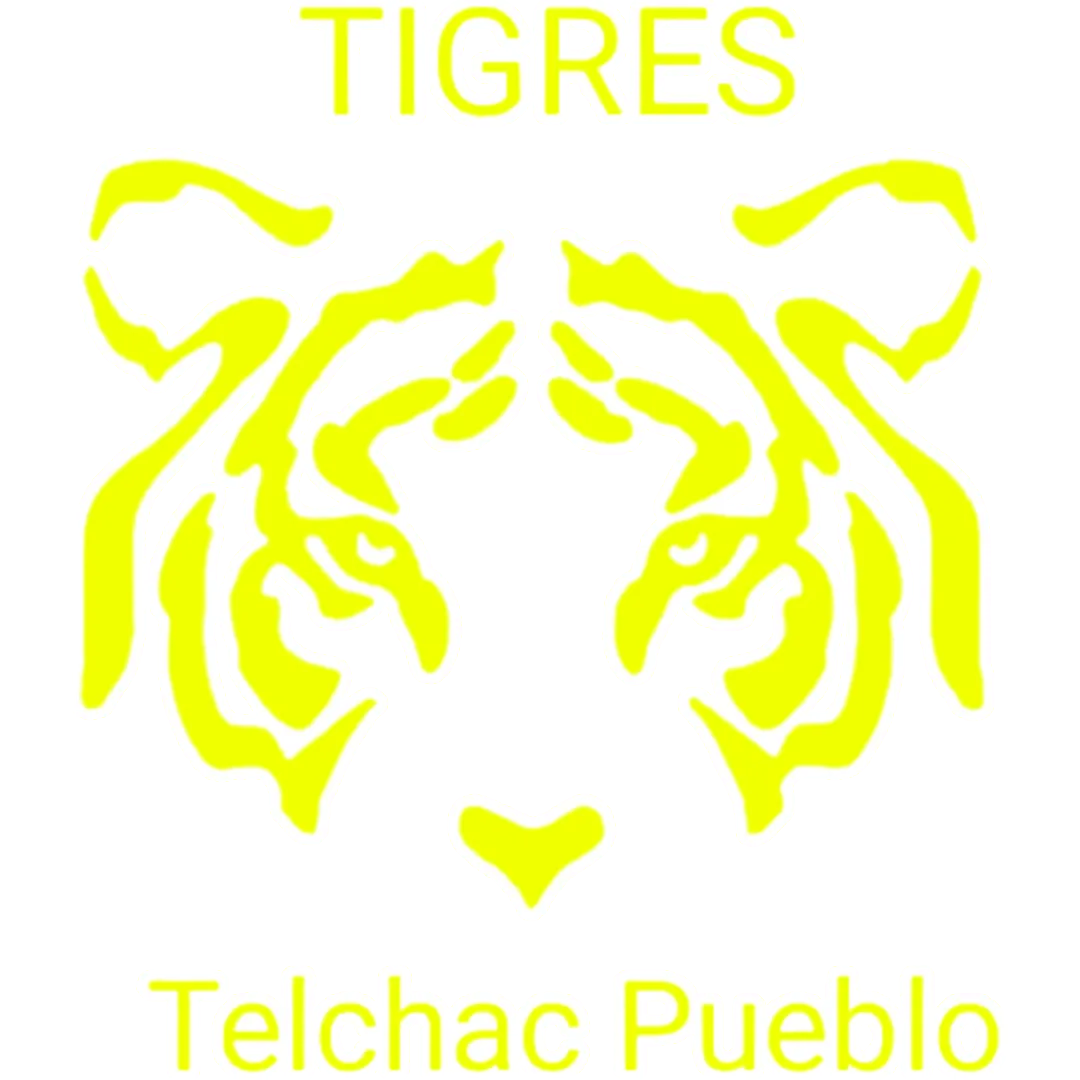 Tigres Ayuntamiento Telchac