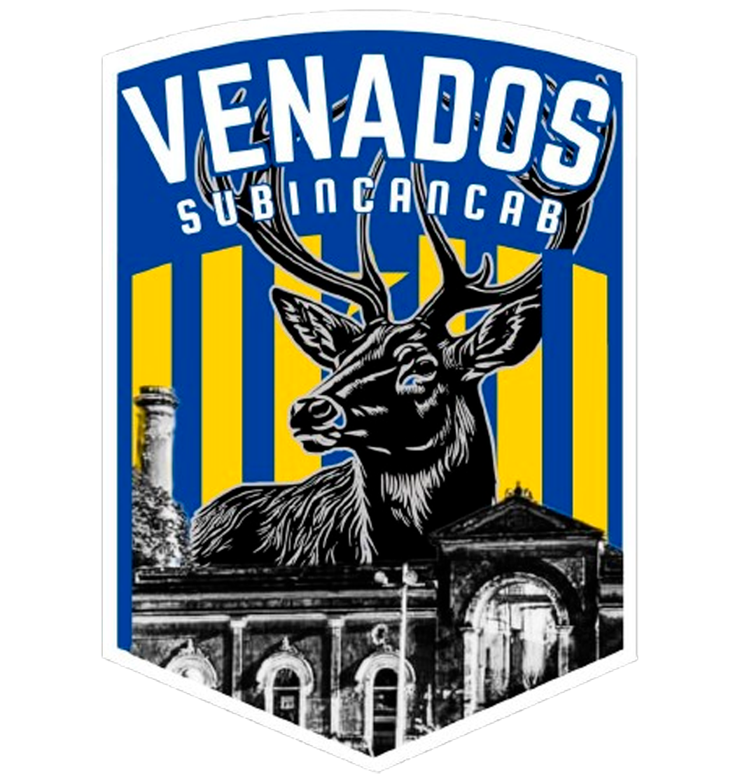 Venados FC