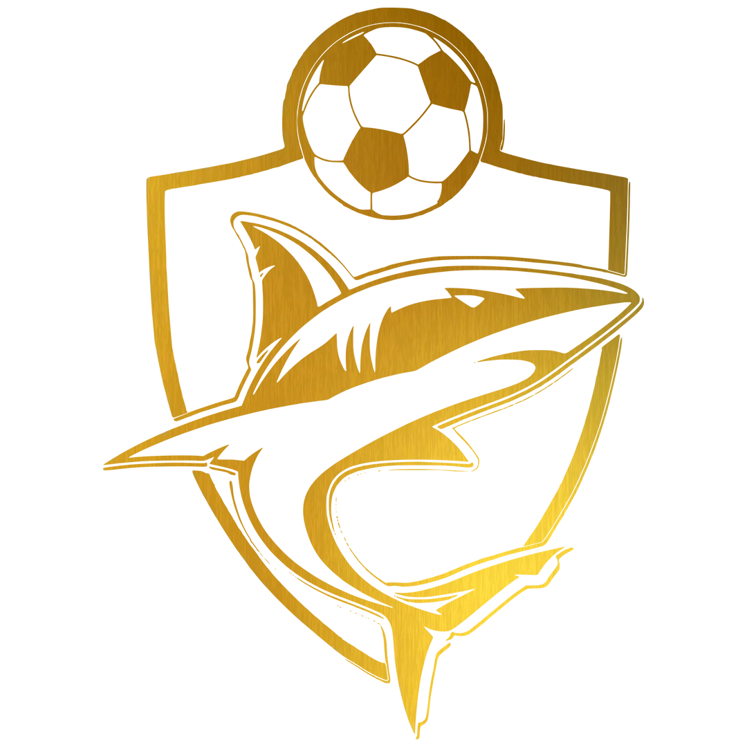 Tiburones de Sisal