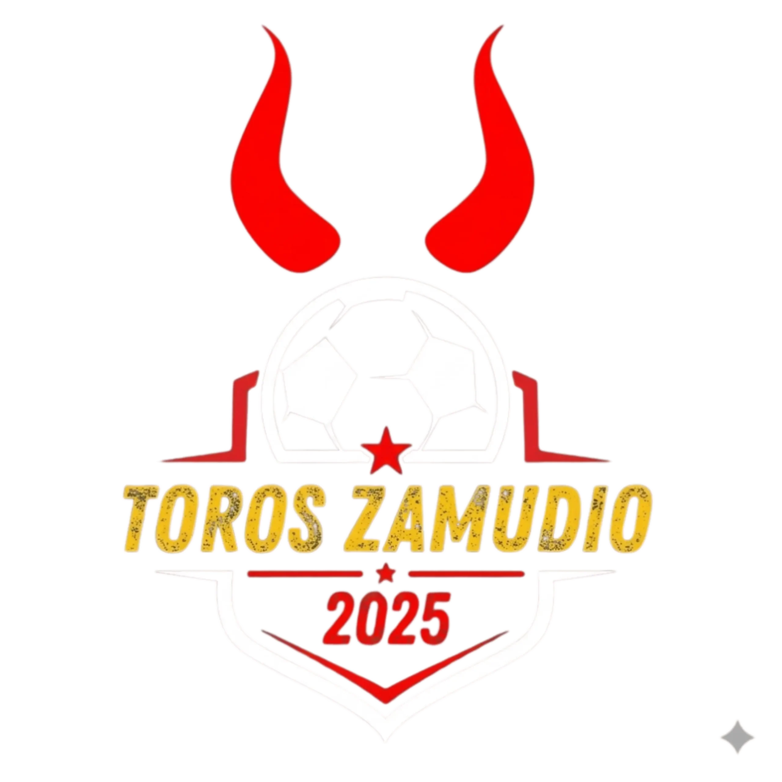 Toros Zamudio