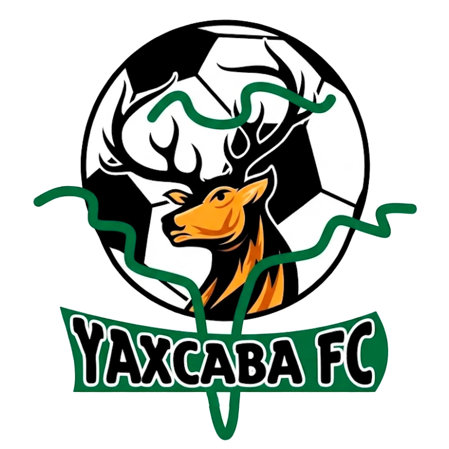 Yaxcaba FC